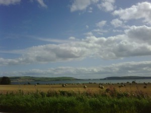 IMG00092 IMG00092